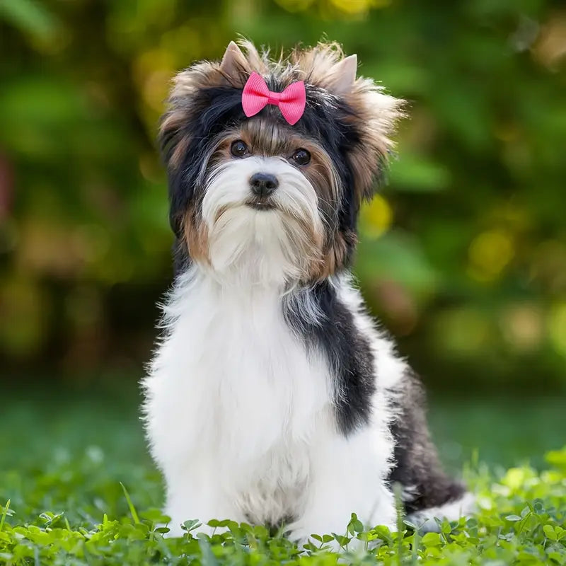 Cute Puppy Dog Hair Bows with Rubber Bands